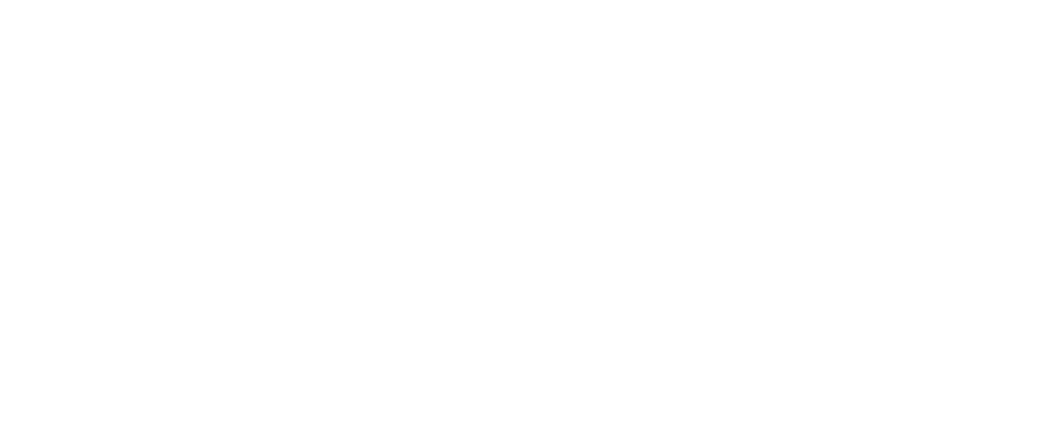 Daai plekkie logo