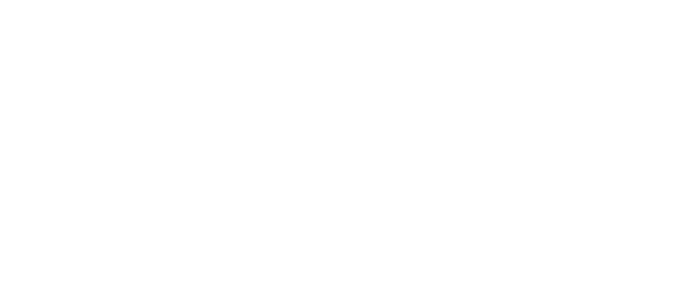 Daai plekkie logo